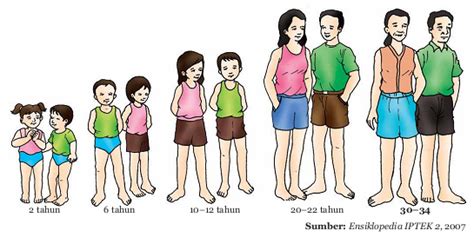 Nutrisi ke tubuh dan gas. Pubertas - aSaL uSiL