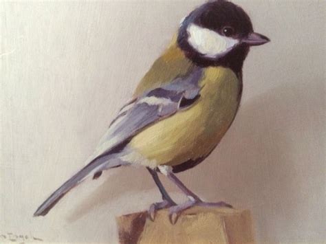 Koolmees (parus major)/great tit/kohlmeise/mésange charbonnière/carbonero común/cinciallegra/chapim real. Jan Engel (20e eeuw) - Koolmees - Catawiki