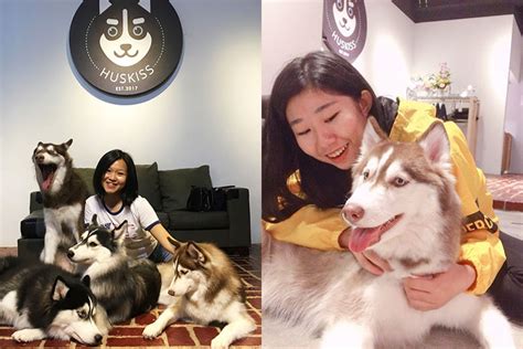 With a new café or two opening up every other month, the coffee scene in malaysia is currently at its boom. 8 Pet Cafe In The Klang Valley All Animal Lovers Should Visit
