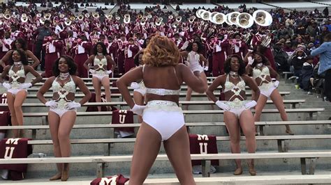 Magic city is an american drama television series created by mitch glazer for the starz network. AAMU Dancing Divas- Magic City Classic 2017- "Stunna ...