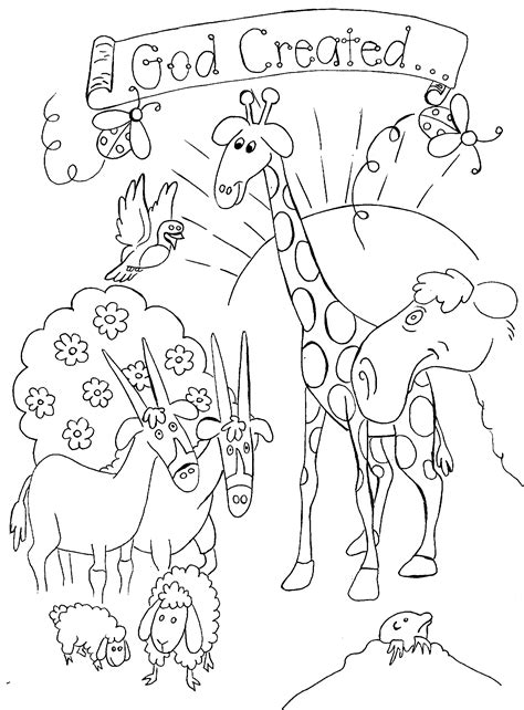 Print them and use crayons, markers or paint. God Created Animals Coloring Page - Hd Football