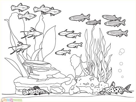 Gambar pemandangan bawah laut terindah. 31+ Ide Gambar Pemandangan Bawah Laut Dengan Pensil ...