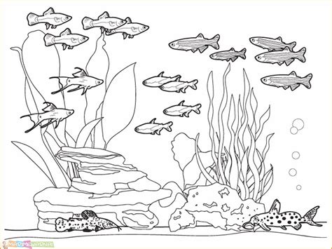 Selain materi gambar untuk mewarnai diatas admin blog mewarnai gambar sambil belajar juga telah menyediakan banyak materi gambar mewarnai lainnya. 31+ Ide Gambar Pemandangan Bawah Laut Dengan Pensil ...