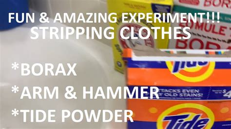 Arm & hammer female dog diapers, large, 12 count. DIY STRIPPING CLOTHES | UNBELIEVABLE | BORAX, ARM & HAMMER ...