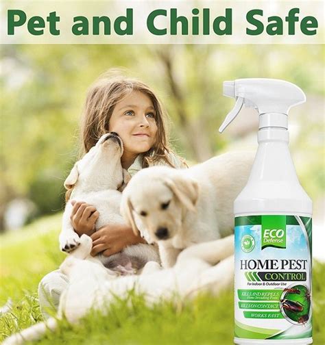 Maybe you would like to learn more about one of these? Pin on Pet safe Ant Killer
