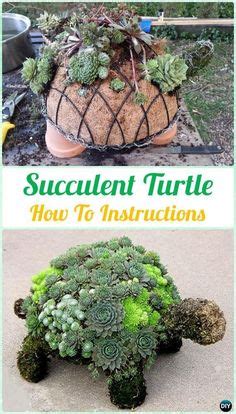 It is made of thin, flexible, galvanized steel wire with hexagonal gaps. How To Make A Succulent Turtle | Jardin de topiaires ...