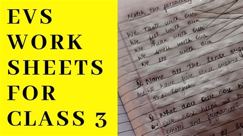 Cbse solved printable worksheets and chapter wise question papers for practice with solution have plenty of questions for daily practice and smart study. Worksheets for class 3 ll Evs Worksheets - YouTube