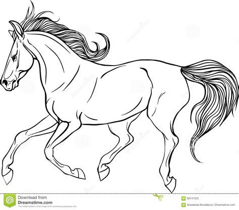 2107 x 2107 jpeg 1236 кб. Adult coloring page horse. stock vector. Illustration of ...