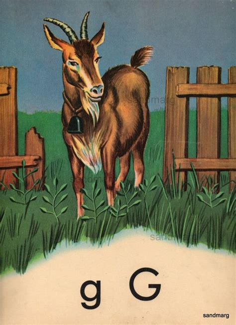 Maybe you would like to learn more about one of these? Vintage G is for Goat School Classroom Alphabet Letter by ...