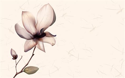 차기 대통령이 될 지 사주팔자와 관상, 이름으로 알아 보기행운의신사주풍수. 傳統 韓服 > 문학/시/넷동네 | 대한신보