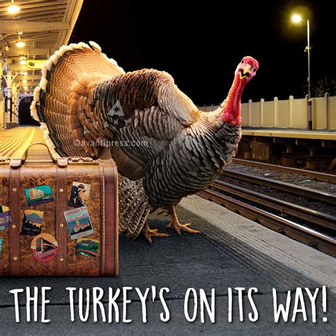 Maybe you would like to learn more about one of these? Pin by Avanti Press on Feelin' Thankful (With images ...