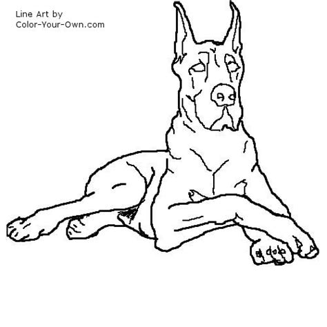 Great dane coloring pages mesmerizing 36 beautiful 23 with arilitv. Great Dane Coloring Page