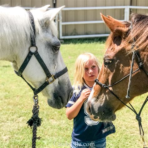 Mcdowell nature center and preserve. Fun Things to do Outside in Wylie, TX - Carrie Elle