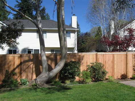 Professional installation, doing it all by yourself, or doing it yourself with our help. all american fence, fence company, fence contractor, wood ...