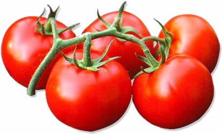 Можно от помидор похудеть