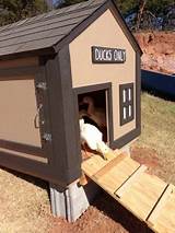 Follow the cutting instructions on your plan. 37 Free DIY Duck House / Coop Plans & Ideas that You Can ...
