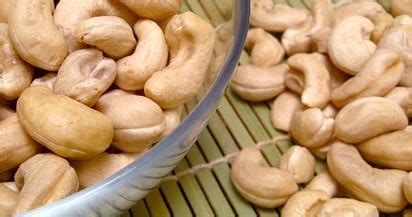 Kandungan berkhasiat dalam kacang kuda. Cara Mengolah Kacang Mete Mentah Dengan Air Garam ...
