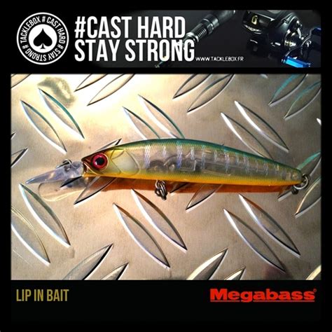 This article is a stub and is under construction. Megabass Lip in Bait | Fish pet, Bait, Pets