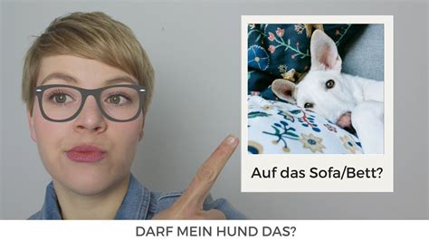 Sieh dir an, was markus seumel (seumel) auf pinterest, der weltweit größten sammlung von ideen, entdeckt hat. DARF MEIN HUND DAS? Auf das Sofa oder Bett? | Ulrike ...