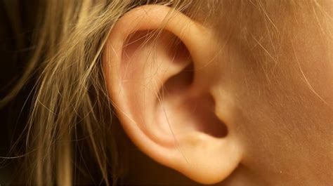 Cara mengatasi telinga tersumbat.pernahkah anda mengalami telinga tersumbat?pasti anda merasa tak nyaman ketika mengalami telinga tersumbat. Tahi Telinga Keras: Punca dan Cara Rawatan - The Diagnosa