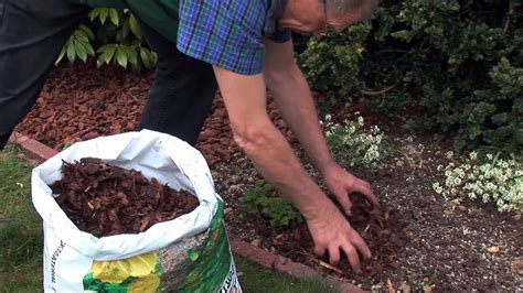 Natürlicher dünger für ihre pflanzen. Mulchen im Garten - Mulchen im Gemüse- und Ziergarten ...