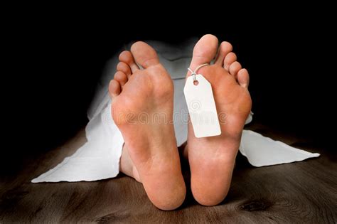 Our website is dedicated to beautiful female feet. Dead Woman Morgue Stock Images - Download 206 Royalty Free ...