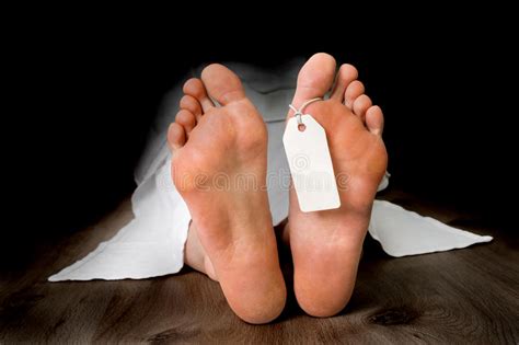 Maybe you would like to learn more about one of these? Dead Woman Morgue Stock Images - Download 206 Royalty Free ...