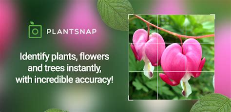 Aug 31, 2021 · berkeley township, n.j. PlantSnap Pro - Identify Plants, Flowers & Trees - Apps on ...