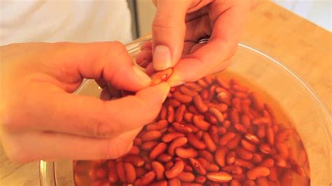 Also, the more you do it, the more you realize that it's not as hard as you thought before you started. How to Cook Dry Beans From Scratch | Curious.com