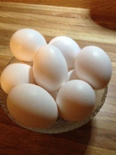 You can use an egg substitute, usually measured easily per use, or try some more complicated maneuvers. Dehydrating Eggs | Just A Pinch Recipes