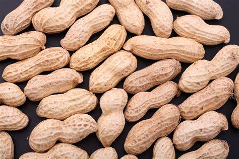 Диета по количеству белка