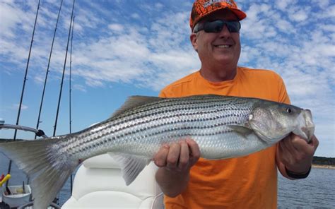 The cabins are just steps away from the lake and sandy beach. Lake Texoma Guide - Cabins, Marinas, Fishing and MoreLake ...