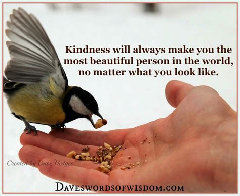 What can we do daily to have it start with us. Daveswordsofwisdom.com: Kindness is beautiful.