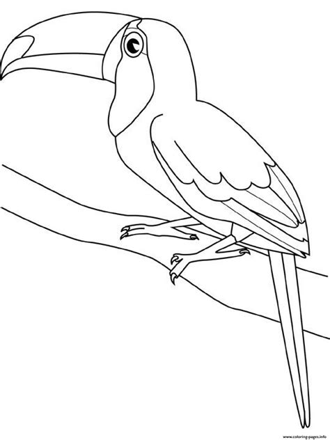 This toucan coloring sheet is a free image for you to print out. Toucan Bird For Kids458f Coloring Pages Printable