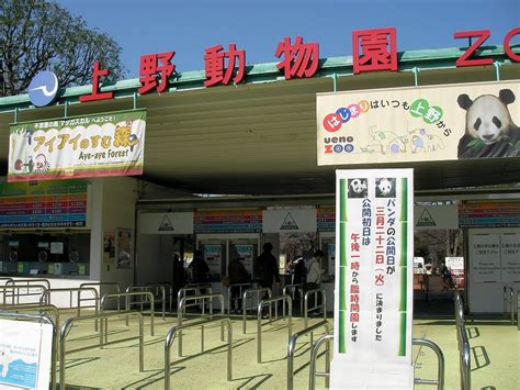 It is japan's oldest zoo, opening on march 20, 1882. 猫アリーナ 上野動物園 2011/3