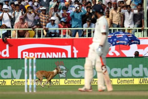 Watch full highlights of the england vs india match at edgbaston, game 38 of the 2019 cricket world cup.the home of all the highlights from the icc men's. India vs England Vizag Test Day 1: Virat Kohli, Cheteshwar ...