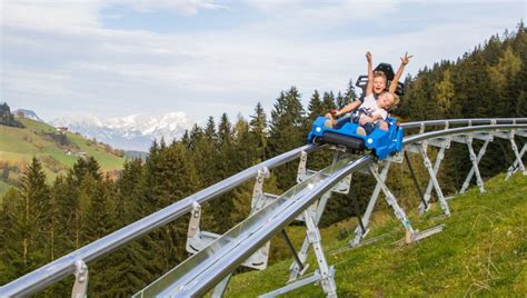 The coaster is the longest mountain coaster in the united states. Neue Generation Alpine-Coaster im Drachental ist freigegeben