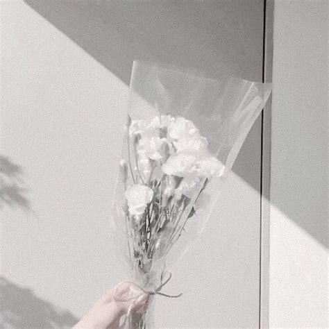 If u want this wallpaper check my story/highlight. white ⤵︎ edit ˚ ༘ aesthetic 〰︎ | Tapety, Ściana