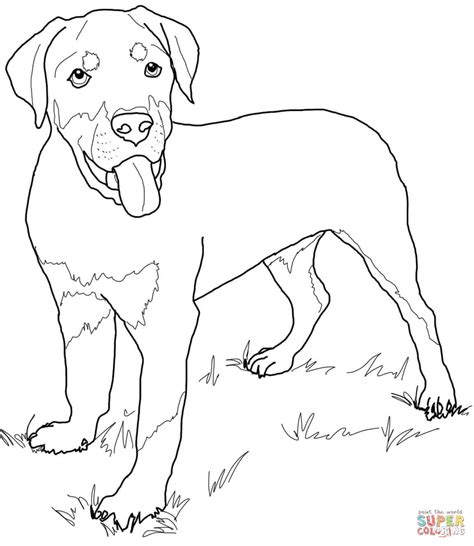 Dog drawing for kids easy. Golden Retriever Puppy Drawing at GetDrawings | Free download