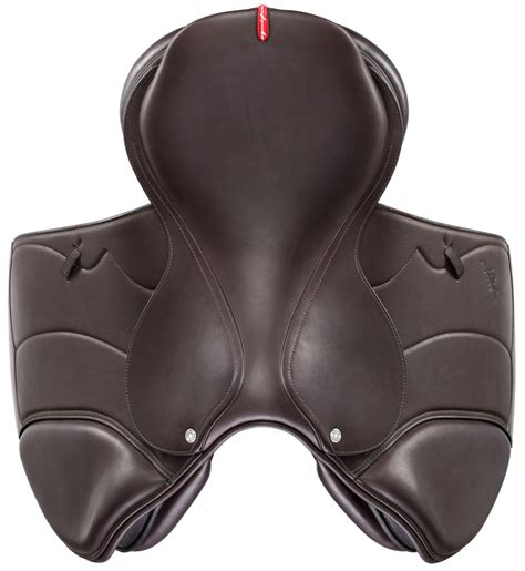 Pellentesque habitant morbi tristique senectus et netus et malesuada fames ac turpis egestas. GRAND PRIX SPECIAL - Selleria Equipe Srl - Selle ...