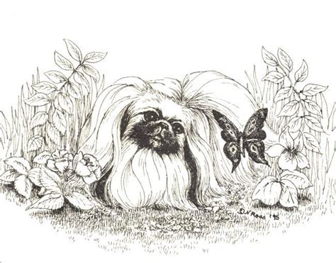 This means that you are able to. Vintage Set of 6 Note Cards & Envelopes Pekingese Dog 4 ...