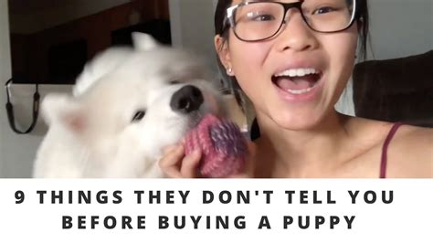 What to know before getting a puppy. 9 things they dont tell you before getting a puppy - YouTube