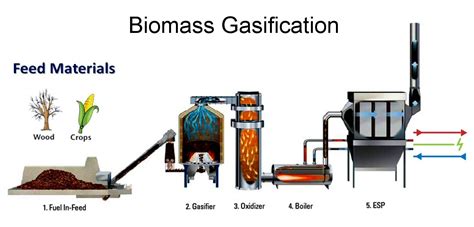 Biomass is a renewableenergy source because we can always grow moretrees and crops, and waste will always exist. Biofuel - Ruaha Energy
