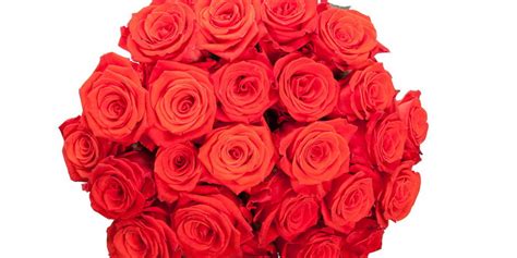 Check spelling or type a new query. Memilih Bunga yang Tepat untuk Hadiah Valentine : Okezone ...
