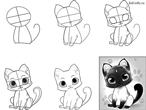 True manga style is about. How to draw anime cat - 10 step-by-step drawing instructions for beginners - HOW-TO-DRAW in 1 minute