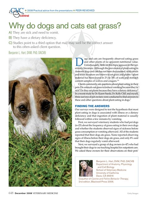 Dogs typically eat grass during times of illness, says dr. (PDF) Why do dogs and cats eat grass?