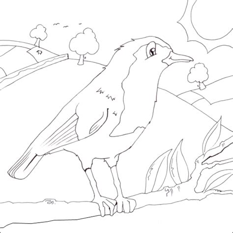 Enjoy our free coloring pages! Robin Colouring