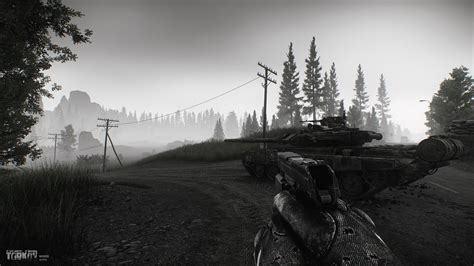 If you think that you will be a good emissary, apply! Escape from Tarkov new screens show the Forest - VG247