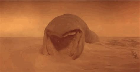 A sandworm is a fictional creature that appears in the dune novels written by frank herbert, first introduced in original novel dune. Top 10 Freakiest Worms - IFC