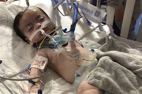 If you would like to help us out with a donation or even a share the link to the gofundme is here: Baby Dies Several Months After the Babysitter He Was ...